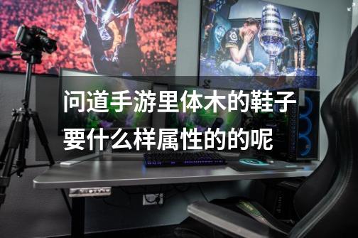 问道手游里体木的鞋子要什么样属性的的呢-第1张-游戏信息-龙启网