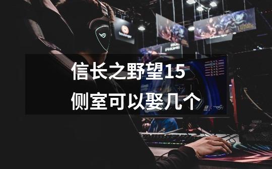 信长之野望15侧室可以娶几个-第1张-游戏信息-龙启网