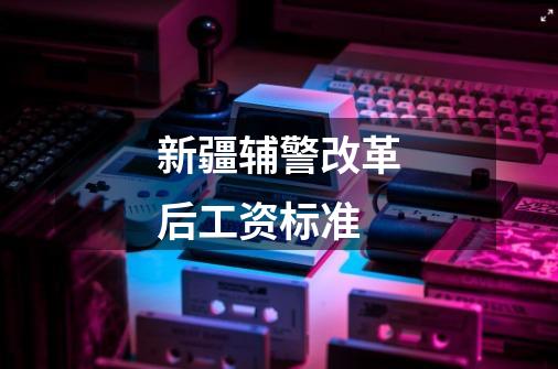 新疆辅警改革后工资标准-第1张-游戏信息-龙启网
