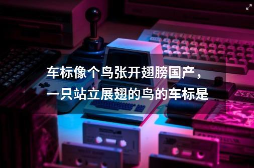 车标像个鸟张开翅膀国产,一只站立展翅的鸟的车标是-第1张-游戏信息-龙启网