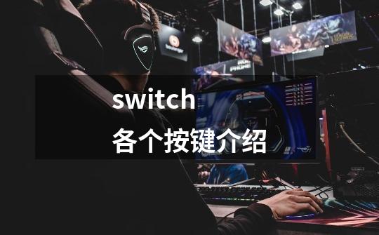 switch各个按键介绍-第1张-游戏信息-龙启网