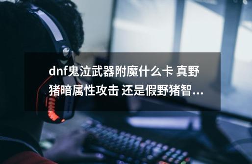 dnf鬼泣武器附魔什么卡 真野猪暗属性攻击 还是假野猪智力 另外再说一下 暗属性攻击和暗强有什么区别-第1张-游戏信息-龙启网