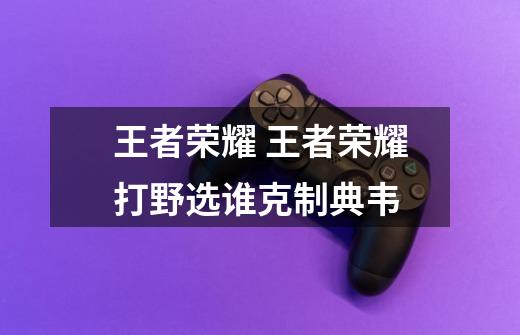 王者荣耀 王者荣耀打野选谁克制典韦-第1张-游戏信息-龙启网