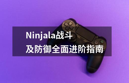Ninjala战斗及防御全面进阶指南-第1张-游戏信息-龙启网