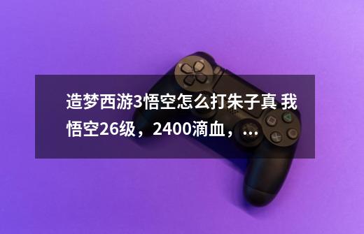 造梦西游3悟空怎么打朱子真 我悟空26级，2400滴血，1400魔。-第1张-游戏信息-龙启网