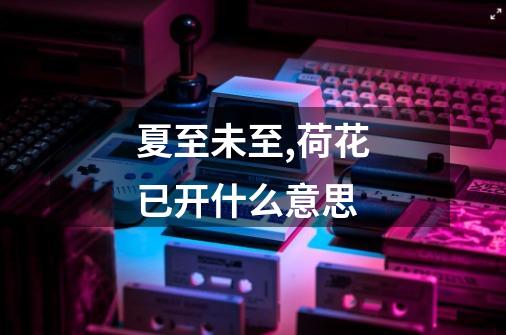 夏至未至,荷花已开什么意思-第1张-游戏信息-龙启网