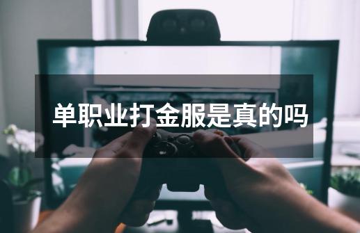 单职业打金服是真的吗-第1张-游戏信息-龙启网