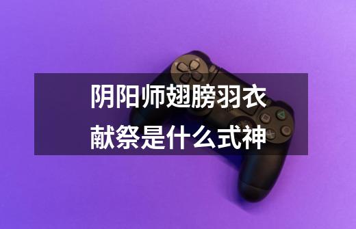 阴阳师翅膀羽衣献祭是什么式神-第1张-游戏信息-龙启网