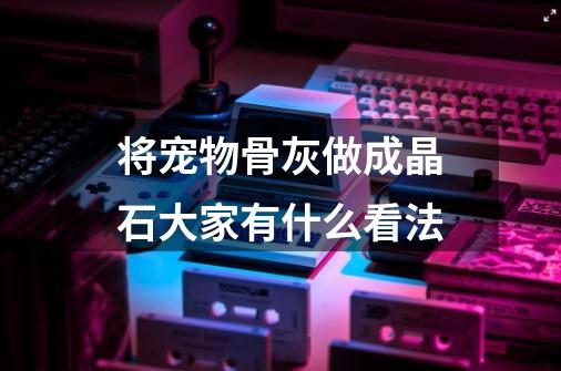 将宠物骨灰做成晶石大家有什么看法-第1张-游戏信息-龙启网