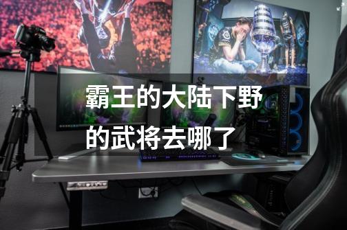 霸王的大陆下野的武将去哪了-第1张-游戏信息-龙启网
