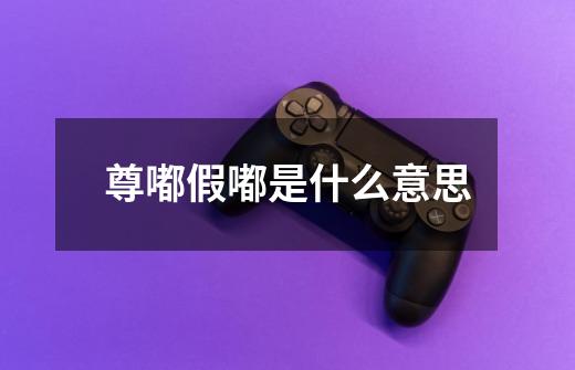 尊嘟假嘟是什么意思-第1张-游戏信息-龙启网