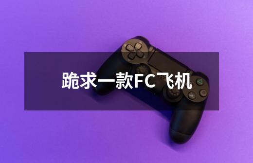 跪求一款FC飞机-第1张-游戏信息-龙启网