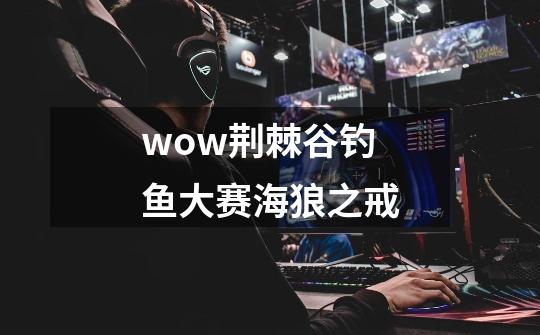 wow荆棘谷钓鱼大赛海狼之戒-第1张-游戏信息-龙启网