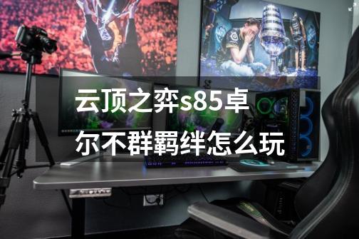 云顶之弈s8.5卓尔不群羁绊怎么玩-第1张-游戏信息-龙启网