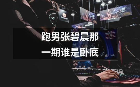 跑男张碧晨那一期谁是卧底-第1张-游戏信息-龙启网