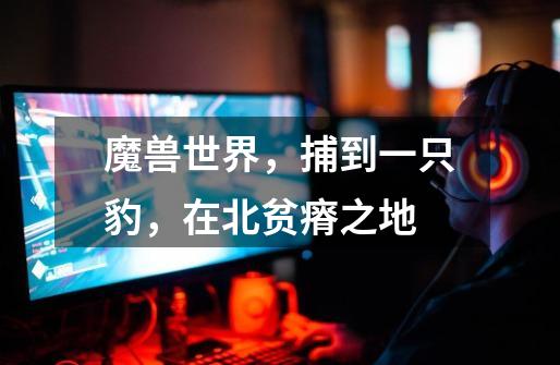 魔兽世界,捕到一只豹,在北贫瘠之地-第1张-游戏信息-龙启网