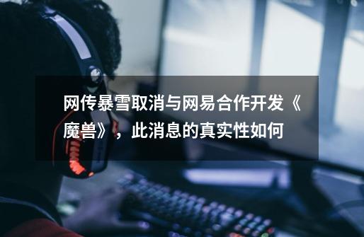 网传暴雪取消与网易合作开发《魔兽》,此消息的真实性如何-第1张-游戏信息-龙启网