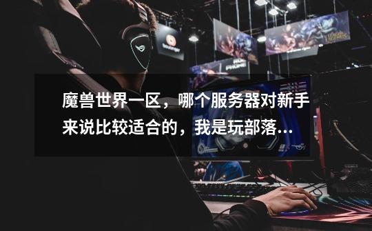 魔兽世界一区,哪个服务器对新手来说比较适合的,我是玩部落LR的-第1张-游戏信息-龙启网