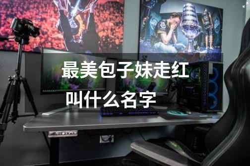 最美包子妹走红 叫什么名字-第1张-游戏信息-龙启网
