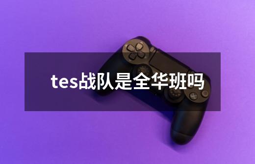 tes战队是全华班吗-第1张-游戏信息-龙启网