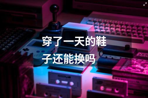 穿了一天的鞋子还能换吗-第1张-游戏信息-龙启网