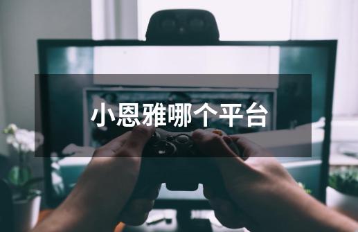 小恩雅哪个平台-第1张-游戏信息-龙启网