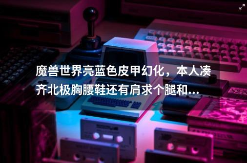 魔兽世界亮蓝色皮甲幻化，本人凑齐北极胸腰鞋还有肩求个腿和手-第1张-游戏信息-龙启网