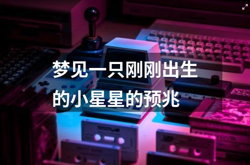 梦见一只刚刚出生的小星星的预兆-第1张-游戏信息-龙启网