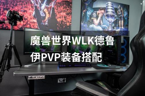 魔兽世界WLK德鲁伊PVP装备搭配-第1张-游戏信息-龙启网