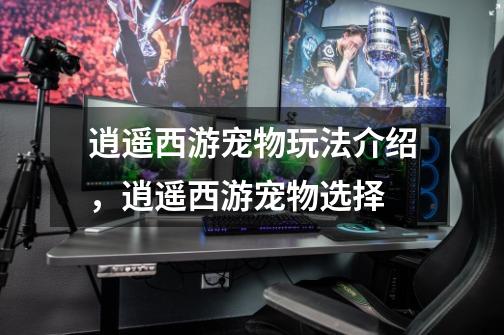 逍遥西游宠物玩法介绍,逍遥西游宠物选择-第1张-游戏信息-龙启网