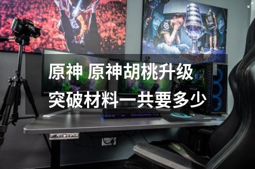 原神 原神胡桃升级突破材料一共要多少-第1张-游戏信息-龙启网