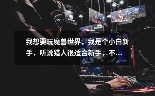 我想要玩魔兽世界,我是个小白+新手,听说猎人很适合新手,不知道血精灵和暗夜精灵的猎人有什么区别-第1张-游戏信息-龙启网