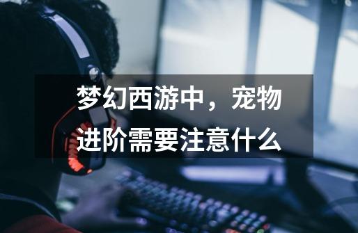 梦幻西游中,宠物进阶需要注意什么-第1张-游戏信息-龙启网