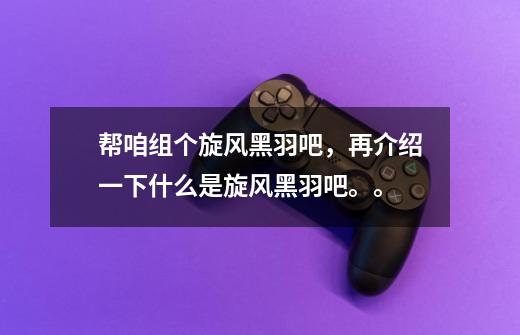 帮咱组个旋风黑羽吧,再介绍一下什么是旋风黑羽吧。。-第1张-游戏信息-龙启网