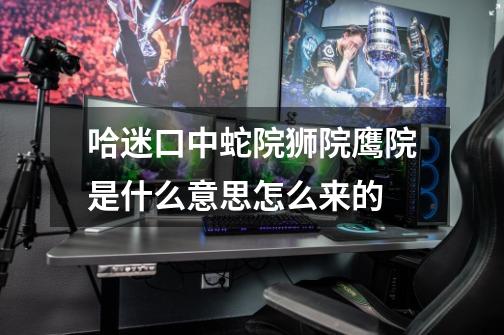哈迷口中蛇院狮院鹰院是什么意思.怎么来的-第1张-游戏信息-龙启网