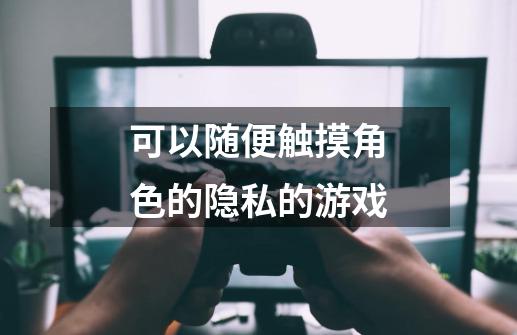 可以随便触摸角色的隐私的游戏-第1张-游戏信息-龙启网