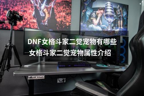 DNF女格斗家二觉宠物有哪些 女格斗家二觉宠物属性介绍-第1张-游戏信息-龙启网