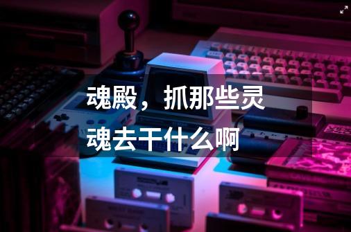魂殿，抓那些灵魂去干什么啊-第1张-游戏信息-龙启网