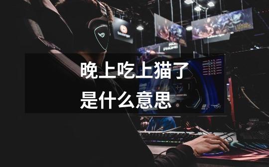 晚上吃上猫了是什么意思-第1张-游戏信息-龙启网