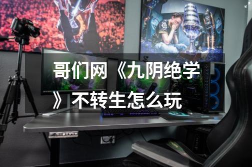 哥们网《九阴绝学》不转生怎么玩-第1张-游戏信息-龙启网