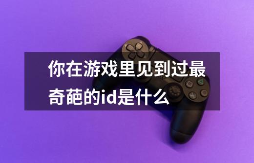 你在游戏里见到过最奇葩的id是什么-第1张-游戏信息-龙启网