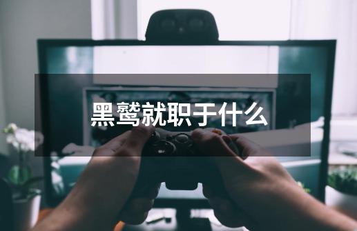黑鹫就职于什么-第1张-游戏信息-龙启网