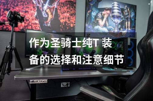 作为圣骑士纯T 装备的选择和注意细节-第1张-游戏信息-龙启网