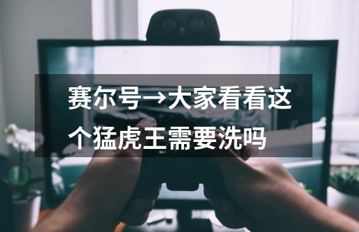 赛尔号→大家看看这个猛虎王需要洗吗-第1张-游戏信息-龙启网