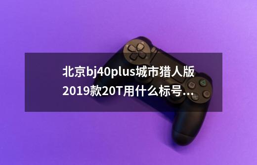 北京bj40plus城市猎人版2019款2.0T用什么标号机油-第1张-游戏信息-龙启网