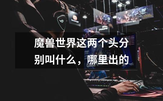 魔兽世界这两个头分别叫什么,哪里出的-第1张-游戏信息-龙启网