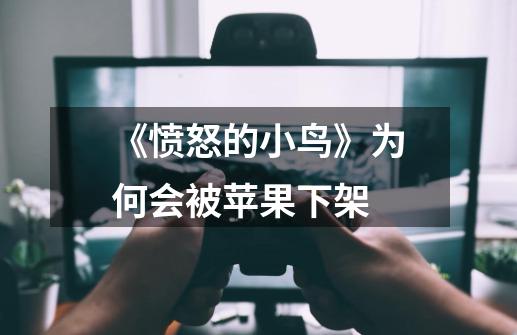 《愤怒的小鸟》为何会被苹果下架-第1张-游戏信息-龙启网