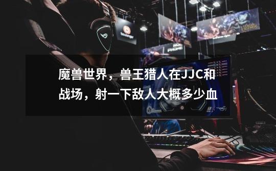 魔兽世界,兽王猎人在JJC和战场,射一下敌人大概多少血-第1张-游戏信息-龙启网