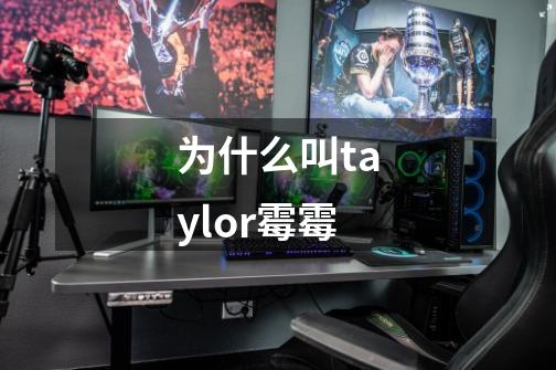 为什么叫taylor霉霉-第1张-游戏信息-龙启网