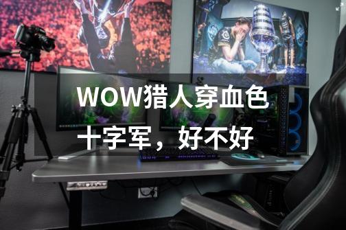 WOW猎人穿血色十字军，好不好-第1张-游戏信息-龙启网